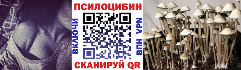 hydra ONION  Беломорск  Галлюциногенные грибы прущие грибы 